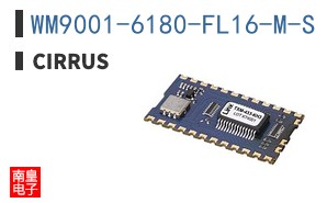 WM9001-6180-FL16-M-S